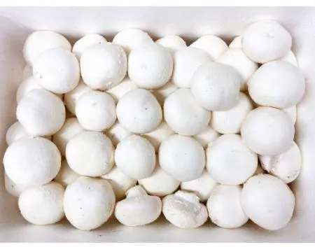 양송이버섯(특) 2kg[BOX]