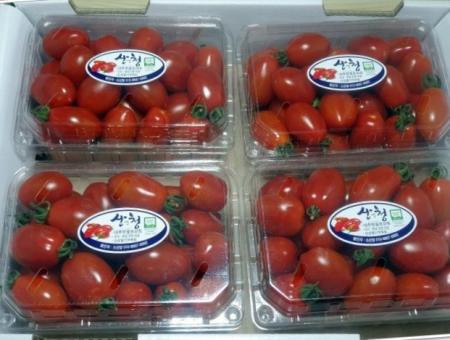 대추방울토마토(중) 3kg[BOX]