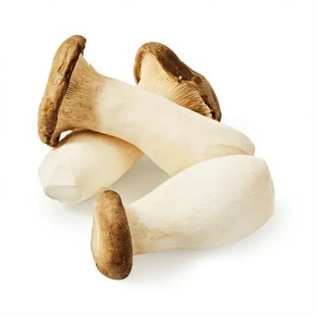 새송이버섯(특) 2kg[BOX]