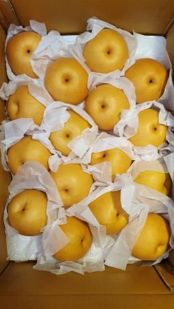 배(특,35내) 15kg[BOX]