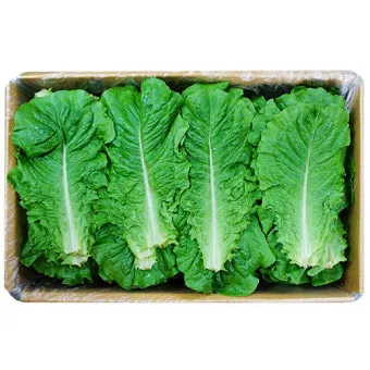 로메인청상추(A) 4kg[BOX]
