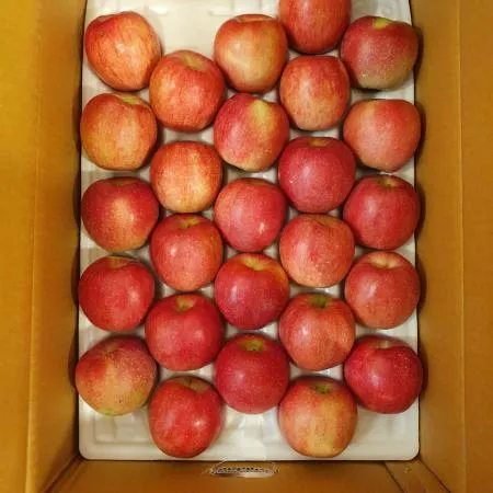 사과(특)45내 10kg[BOX]