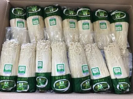 팽이버섯(솔or이노그린) 34입[BOX]