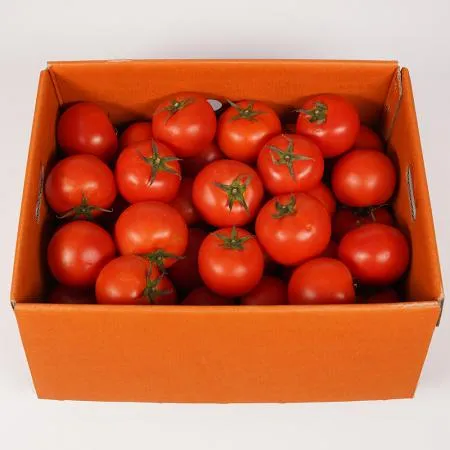완숙토마토(3번) 5kg[BOX]