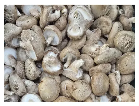 표고버섯(국내산,상) 1kg[봉]