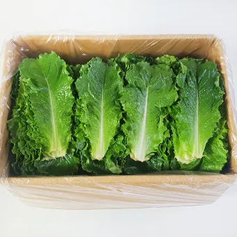 로메인(특쌈） 2kg[BOX]