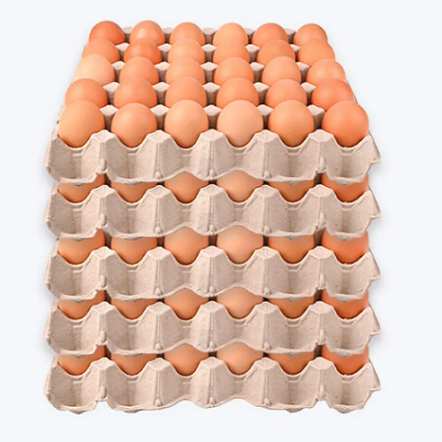 계란(왕란/68g*30알)*5판묶음 이미지