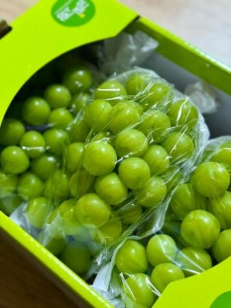 샤인머스켓(3~4수) 2kg[BOX]