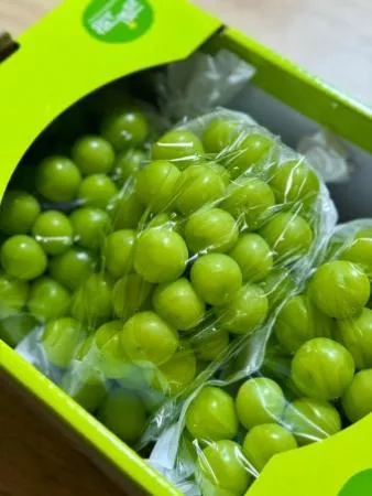 샤인머스켓(3~4수) 2kg[BOX]