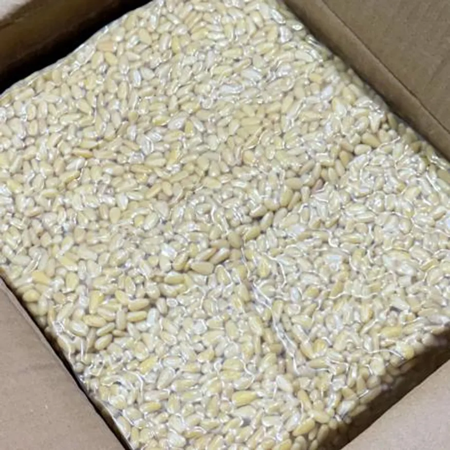 깐잣 10kg 벌크 이미지