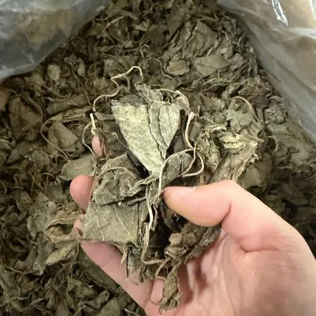 건다래순 1kg