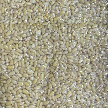 대용량 잣 1kg 깐잣