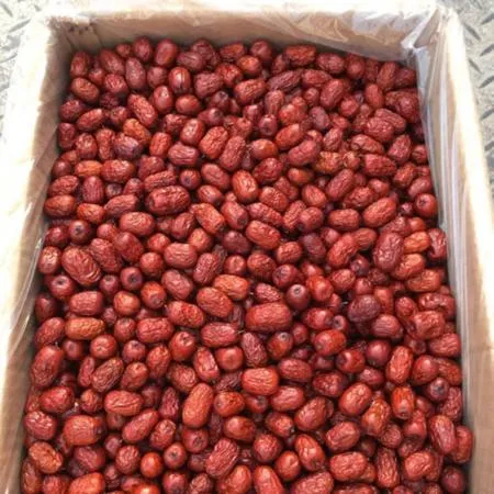 왕대추 10kg 벌크