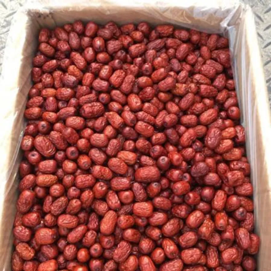 왕대추 10kg 벌크 이미지
