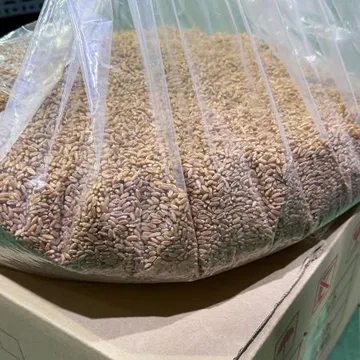 파로 10kg 벌크 대용량