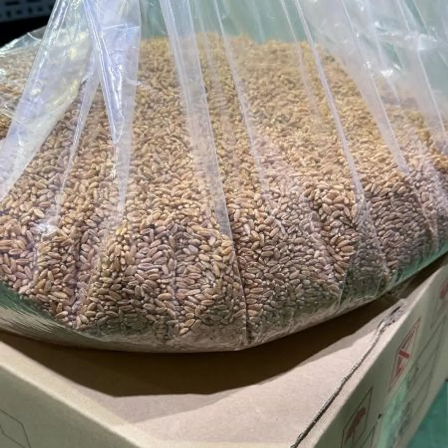 파로 10kg 벌크 대용량 이미지