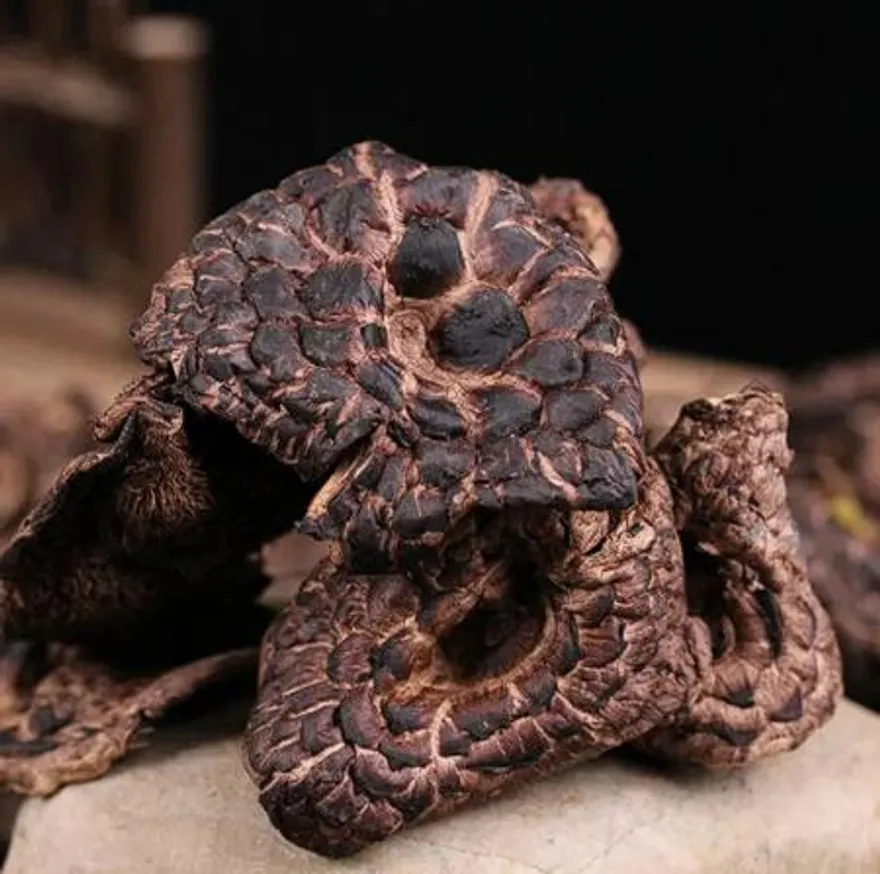 능이버섯 1kg 냉동능이 이미지