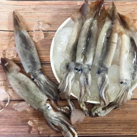 국내산 냉동 오징어 1kg (5-10미 내외)통찜 맥주안주 선동 통오징어