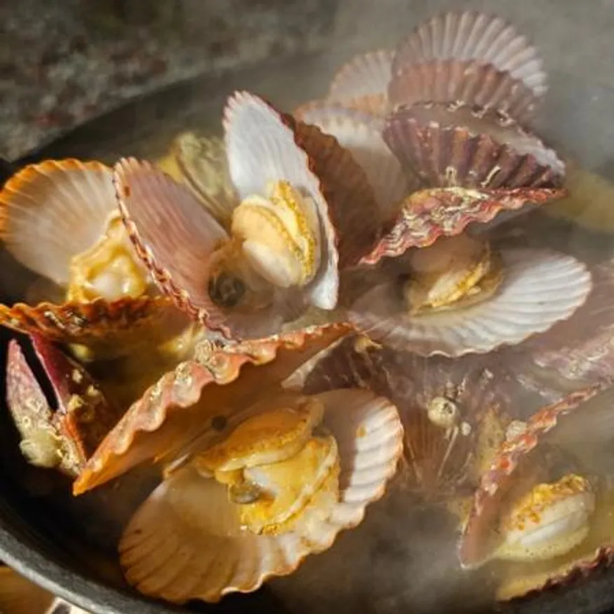 통영 세척 홍가리비 1kg 조개 구이 찜 이미지