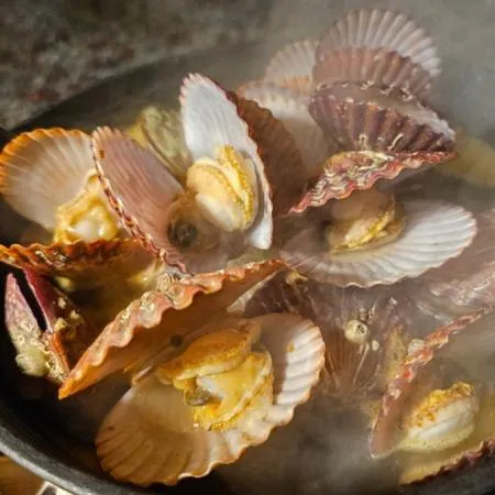 통영 세척 홍가리비 1kg 조개 구이 찜  이미지