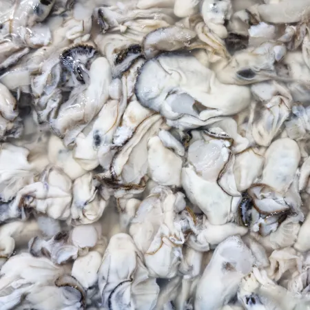 담미로 통영 깐 생굴5kg 대사이즈 산지직송 이미지