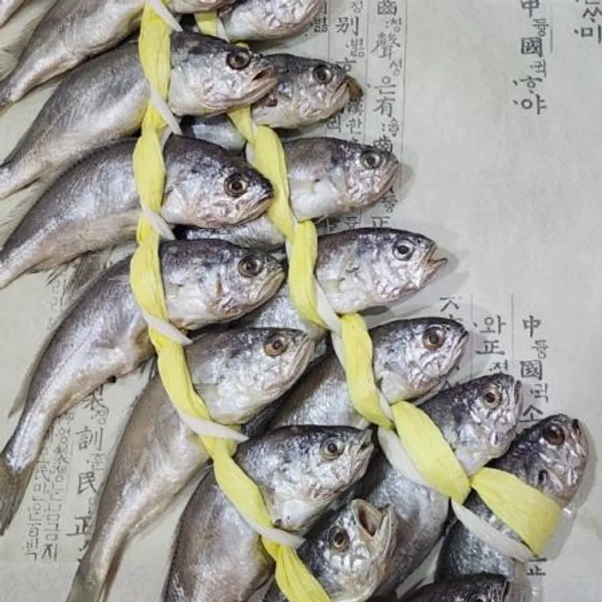 영광 굴비 선물포장 20미 1.5kg 내외 참조기 법성포 굴비 이미지