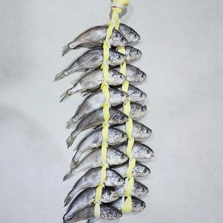영광 굴비 선물포장 20미 1.5kg 내외 참조기 법성포 굴비 이미지