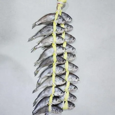 영광 굴비 선물포장 20미 1.5kg 내외 참조기 법성포 굴비 이미지