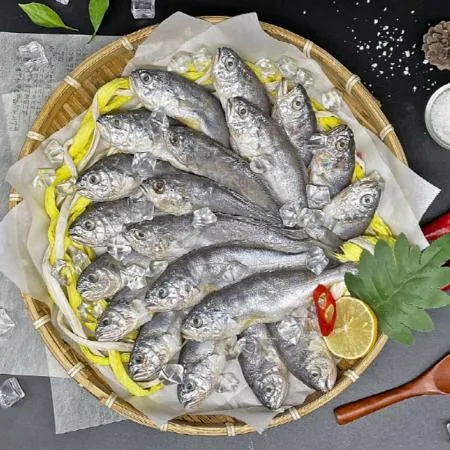 영광 굴비 20미 1.2kg 내외 참조기 법성포 굴비 이미지