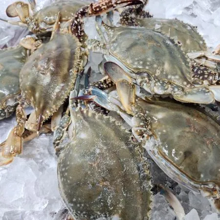 특품 연평도 암꽃게1kg(3-5미) 냉동 꽃게 급냉 이미지