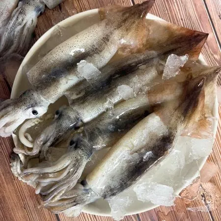 국내산 냉동 오징어 1kg (5-10미 내외)통찜 맥주안주 선동 통오징어 이미지