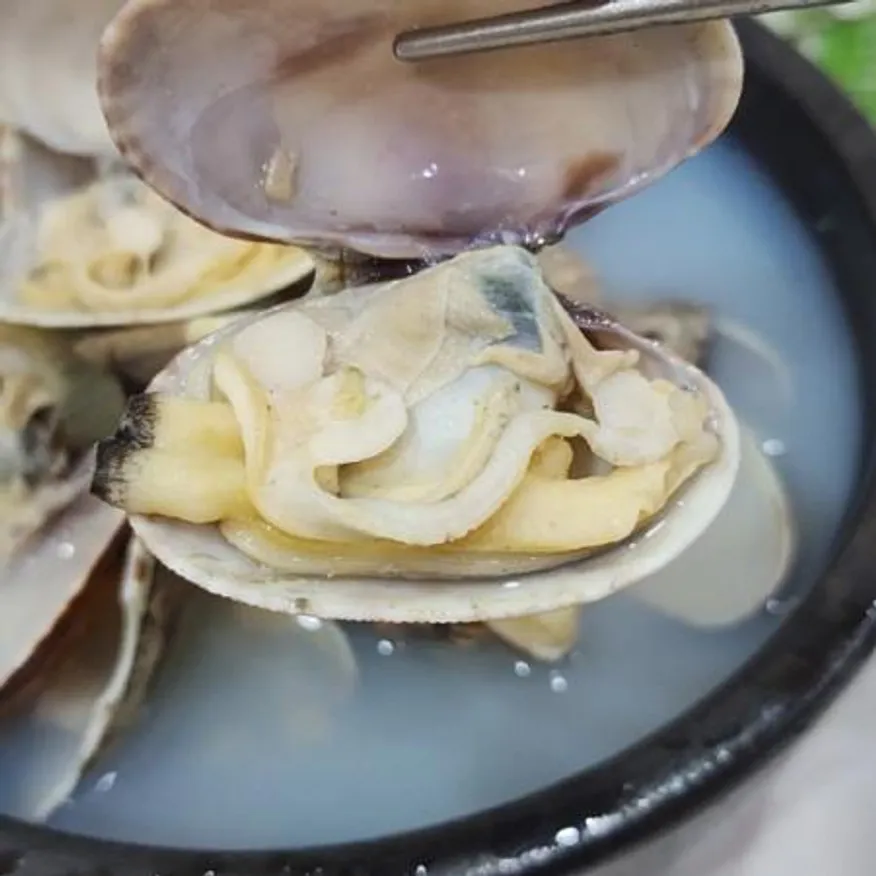 국내산 활 바지락1kg 왕사이즈 세척 해감 바지락 이미지