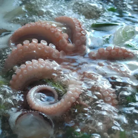 [담미로]국내산 활 주꾸미 알배기 왕사이즈 1kg 급냉 알 쭈꾸미 샤브샤브 이미지