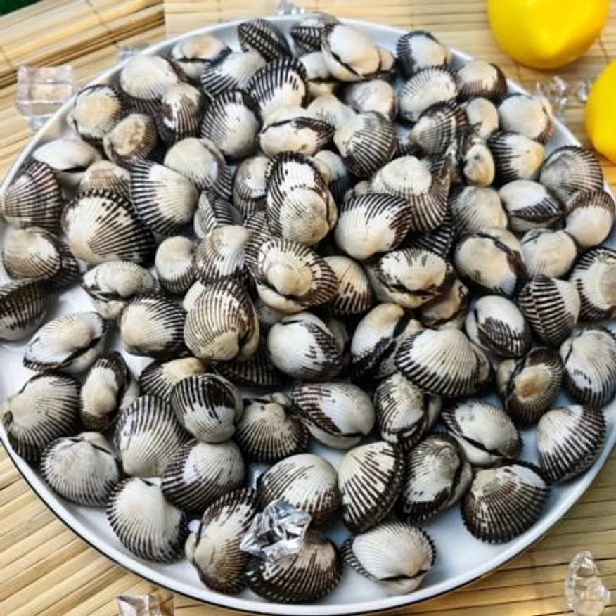 국내산 벌교 새꼬막1kg(특대/70미 내외) 당일조업 꼬막 무침 비빔밥 이미지