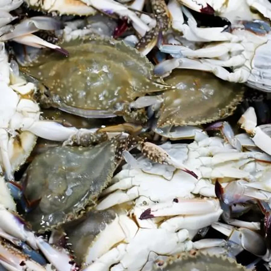 서해안 급냉 암꽃게1kg(4-6미 내외) 제철 냉동암꽃게 이미지