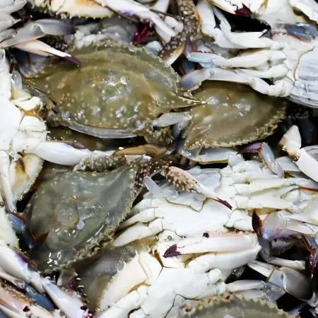 서해안 급냉 암꽃게1kg(4-6미 내외) 제철 냉동암꽃게 이미지