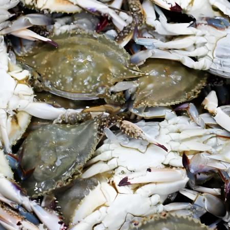 특품 연평도 암꽃게1kg(3-5미) 냉동 꽃게 급냉