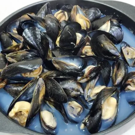 당일조업 활 다듬이홍합 1kg 통영 남해 홍합 이미지
