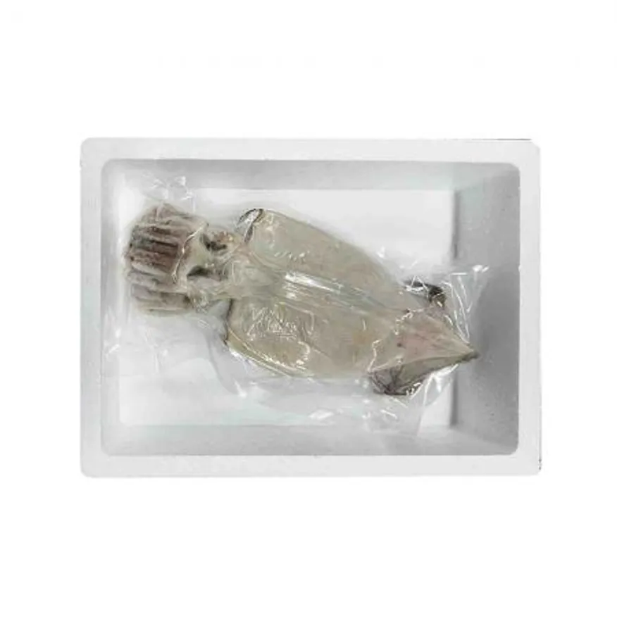 구룡포 반건조 오징어 5미(550g) 피데기 맥반석 쫄쫄이(원양산) 이미지