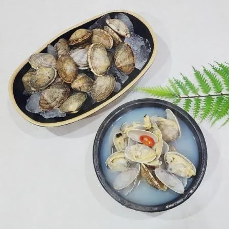 국내산 활 바지락1kg 왕사이즈 세척 해감 바지락 이미지