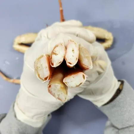북해도 자숙 대게3.5kg(12-15미 내외/수율80%이상) 박달 대게 이미지