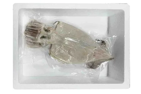 구룡포 반건조 오징어 5미 특대(850g급) 피데기 맥반석 쫄쫄이 원양산