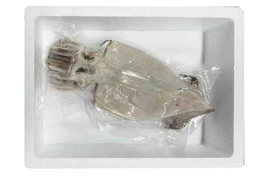 구룡포 반건조 오징어 5미 특대(850g급) 피데기 맥반석 쫄쫄이 원양산 이미지