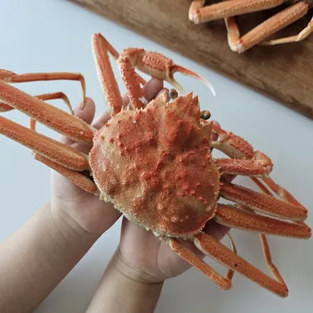북해도 자숙 대게3.5kg(12-15미 내외/수율80%이상) 박달 대게 이미지