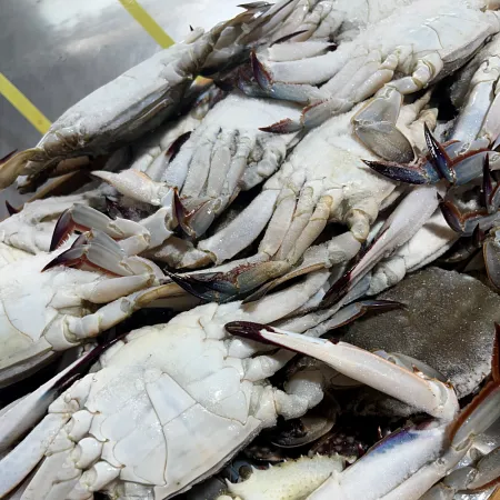 서해안 급냉 숫꽃게1kg(3-5미 내외) 제철 냉동 꽃게찜