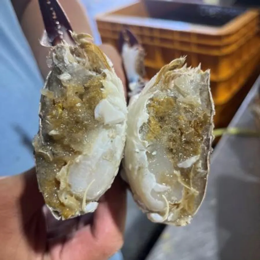 서해안 급냉 숫꽃게1kg(3-5미 내외) 제철 냉동 꽃게찜 이미지