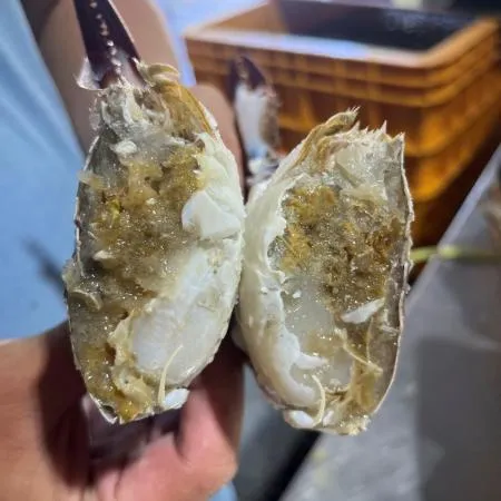 서해안 급냉 숫꽃게1kg(3-5미 내외) 제철 냉동 꽃게찜 이미지