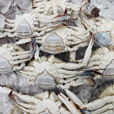 서해안 급냉 암꽃게1kg(4-6미 내외) 제철 냉동암꽃게 이미지