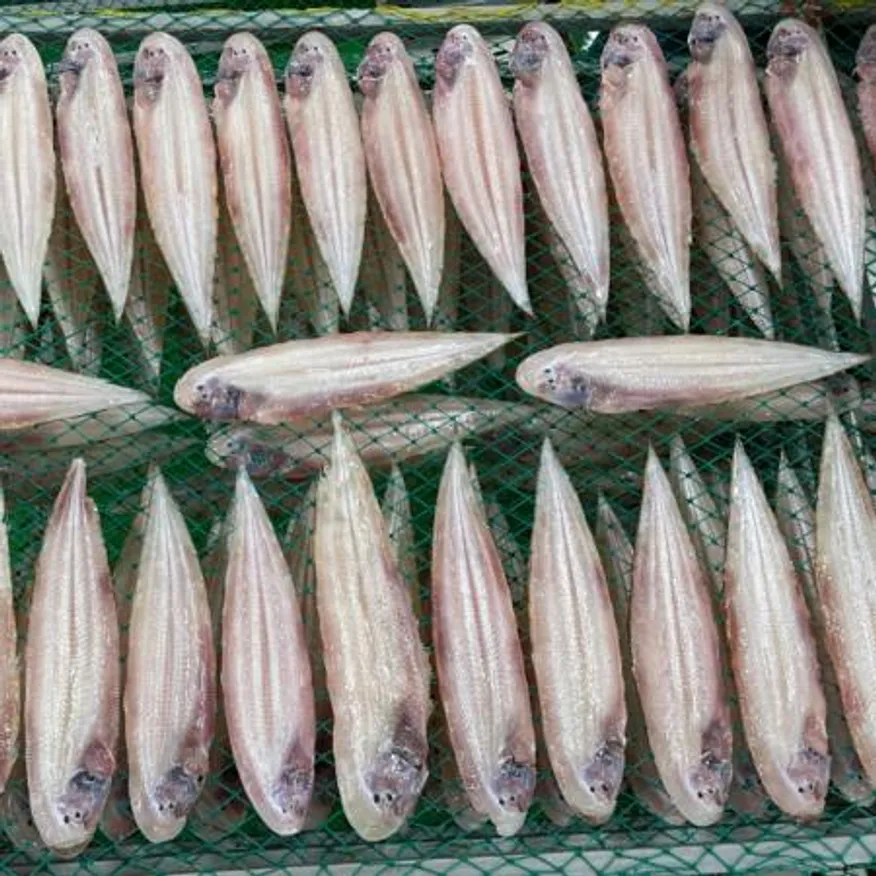 반건조 군산 박대 5미(450g 내외 28~30cm) 이미지