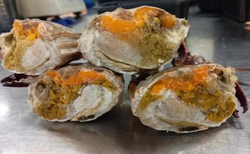 국내산 급냉 하프절단 암꽃게 1KG 이미지